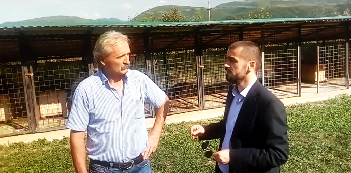 Azil u Beranama nije savršen, ali nije ni logor smrti za pse Foto: Screenshot