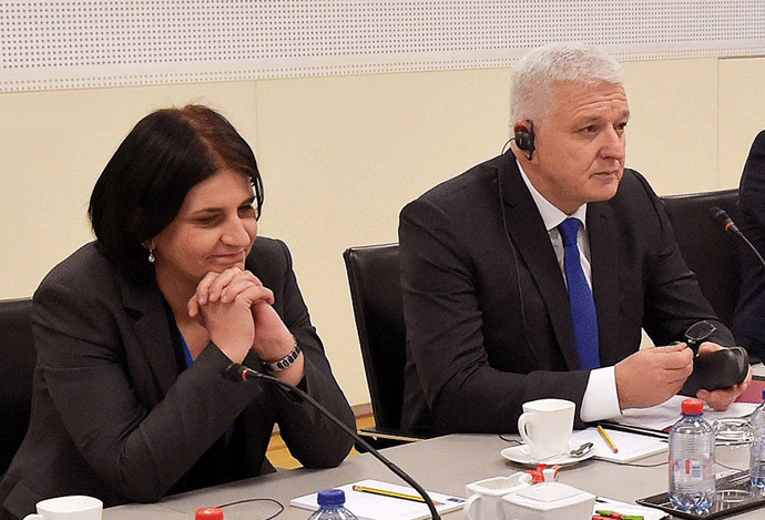 Dragana Radulović savjetnica premijera za vanjsku i bezbjednosnu politiku Dragana Radulović savjetnica premijera za vanjsku i bezbjednosnu politiku