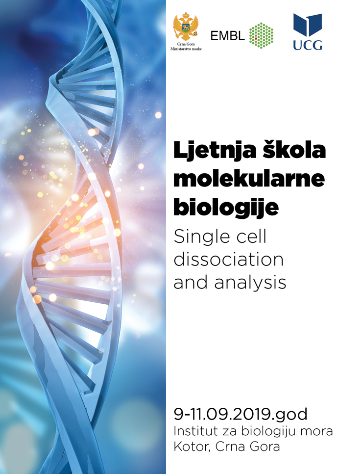 Ljetnja škola molekularne bilologije u Kotoru Ljetnja škola molekularne bilologije u Kotoru