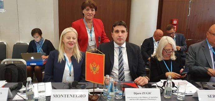 Zemlje regiona zajedno protiv afričke kuge svinja Zemlje regiona zajedno protiv afričke kuge svinja