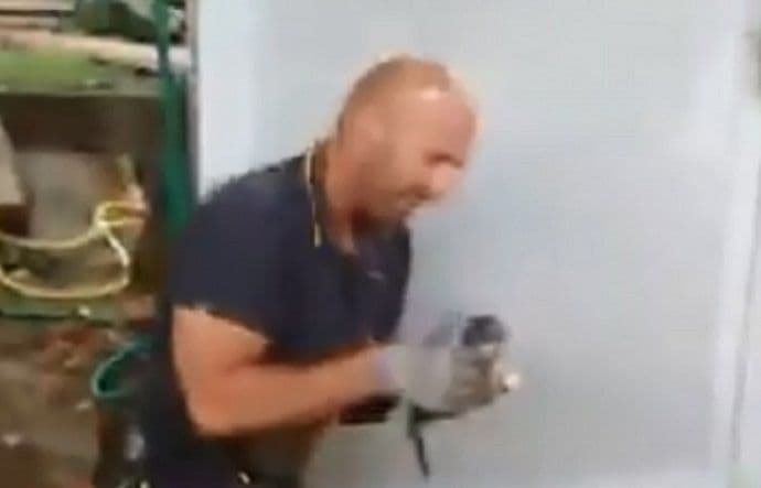 VIDEO Vatrogasac spasio mače pa se rasplakao Foto: Screenshot