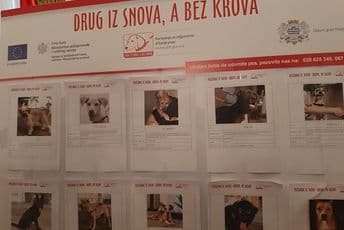 Promovisano odgovorno vlasništvo, nastaviti edukaciju Promovisano odgovorno vlasništvo, nastaviti edukaciju