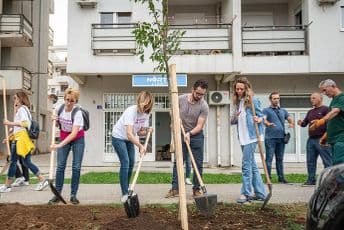 Gigabajti sada rastu na drvetu Gigabajti sada rastu na drvetu