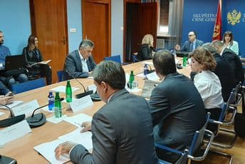 Damjanović nije dobio podršku da bude član Odbora