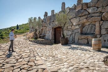Klima i zemljište pogoduju uzgoju vinove loze u Danilovgradu Klima i zemljište pogoduju uzgoju vinove loze u Danilovgradu