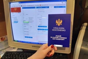 Na Svjetski dan borbe protiv bjesnila počelo čipovanje i vakcinacija pasa Na Svjetski dan borbe protiv bjesnila počelo čipovanje i vakcinacija pasa