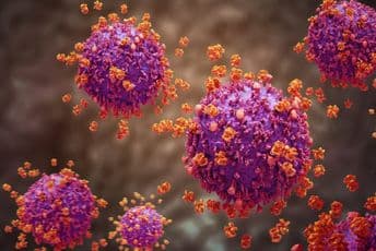 Naučnici otkrili skrovište opakog virusa Foto: SciTech Europa