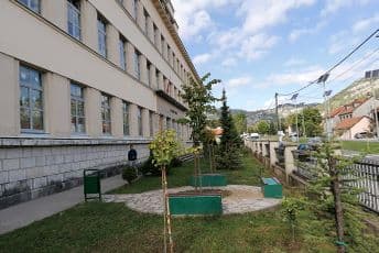 Na potezu Jakšić-Stojanović: Prosvjetna inspektorka predložila razrešenje direktorice cetinjske Gimnazije