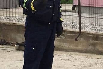 Pljevlja: Vatrogasci uklonili šarku iz automobila Pljevlja: Vatrogasci uklonili šarku iz automobila