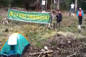 KOR sa Durmitora upozorio na ekokriminal u šumama KOR sa Durmitora upozorio na ekokriminal u šumama