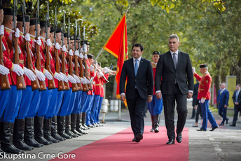 Brajović: Crna Gora podržava teritorijalni integritet Gruzije Brajović: Crna Gora podržava teritorijalni integritet Gruzije