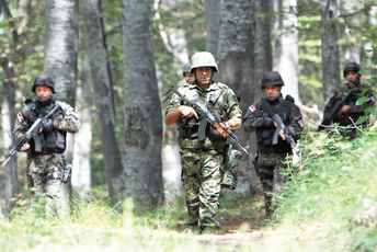 RTS: Šumokradice s Kosova pucale na vojnike Srbije RTS: Šumokradice s Kosova pucale na vojnike Srbije