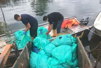 Sva uginula živina uklonjena iz Bojane Sva uginula živina uklonjena iz Bojane
