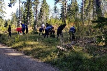 Ministarstvo: Pošumljavanje i suzbijanje bespravnih aktivnosti prioriteti Ministarstvo: Pošumljavanje i suzbijanje bespravnih aktivnosti prioriteti