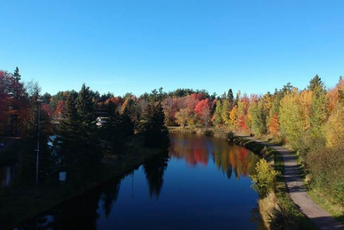 Dječaci na obali kanadskog jezera otkrili fosile stare 310 miliona godina Foto: Shutterstock