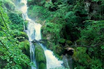 Euromost: Opština Bijelo Polje da se ne hvali Odlukom Vlade Euromost: Opština Bijelo Polje da se ne hvali Odlukom Vlade