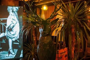 Manifest: Riječ koja zaokružuje istoriju Manifest: Riječ koja zaokružuje istoriju