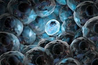 Dio "izgubljenog svijeta": Novo otkriće ćelijskih ostataka praistorijskih organizama Dio "izgubljenog svijeta": Novo otkriće ćelijskih ostataka praistorijskih organizama