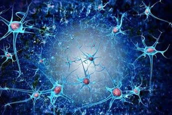 Broj upotrijebljenih matičnih ćelija raste, iako je rezultat kod hematoloških bolesti loš Broj upotrijebljenih matičnih ćelija raste, iako je rezultat kod hematoloških bolesti loš