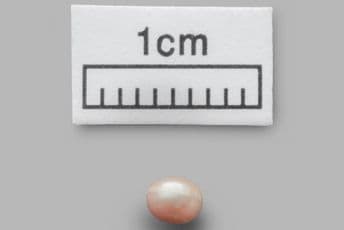 Pronađen najstariji biser na svijetu FOTO: Abu Dhabi Department of Culture and Tourism / AFP