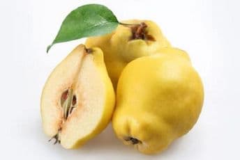 Dunja – prirodno sredstvo protiv prehlade i respiratornih infekcija Dunja – prirodno sredstvo protiv prehlade i respiratornih infekcija