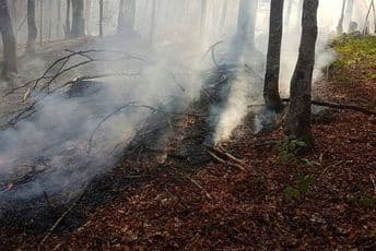 Na Lisi kod Bijelog Polja već treći dan gori požar Foto: Radio Bijelo Polje