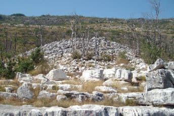 Templar iz Cuca Templar iz Cuca