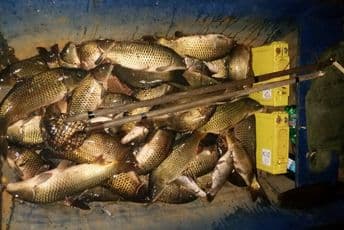 KOR dostavio snimak navodnog krivolova: Stankoviću, zaustavite kriminal na Skadarskom jezeru KOR dostavio snimak navodnog krivolova: Stankoviću, zaustavite kriminal na Skadarskom jezeru