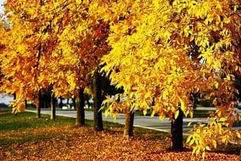 Oktobar 2019. bio najtopliji ikad registrovan Oktobar 2019. bio najtopliji ikad registrovan