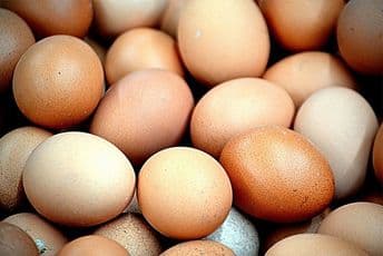 Indijac pojeo 41 jaje i umro
