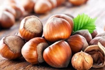 Lješnik – riznica vitamina Lješnik – riznica vitamina