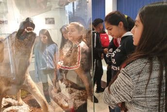 Otvorena nauka – važna tema savremene naučne zajednice Otvorena nauka – važna tema savremene naučne zajednice