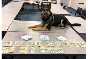 Policijski pas otkrio rekordnu količinu heroina: Vrijednosti i do 87 miliona eura Ilustracija: abc27.com