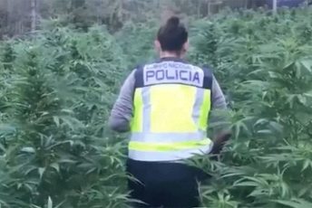 Policija pratila Albance koji kradu cigarete, otkrila tone marihuane Policija pratila Albance koji kradu cigarete, otkrila tone marihuane