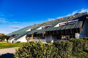 Težak incident nastao između dva učenika, reagovaćemo nakon što drugi organi završe svoj dio posla Težak incident nastao između dva učenika, reagovaćemo nakon što drugi organi završe svoj dio posla