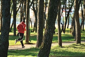 Rješenje stiglo iz Kolumbije: Evo kako će izgledati park šuma Zlatica nakon uređenja (FOTO)