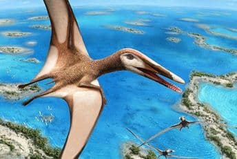 Naučnici otkrili novu vrstu letećeg dinosaurusa: Bio je težak čak 250 kilograma! Naučnici otkrili novu vrstu letećeg dinosaurusa: Bio je težak čak 250 kilograma!