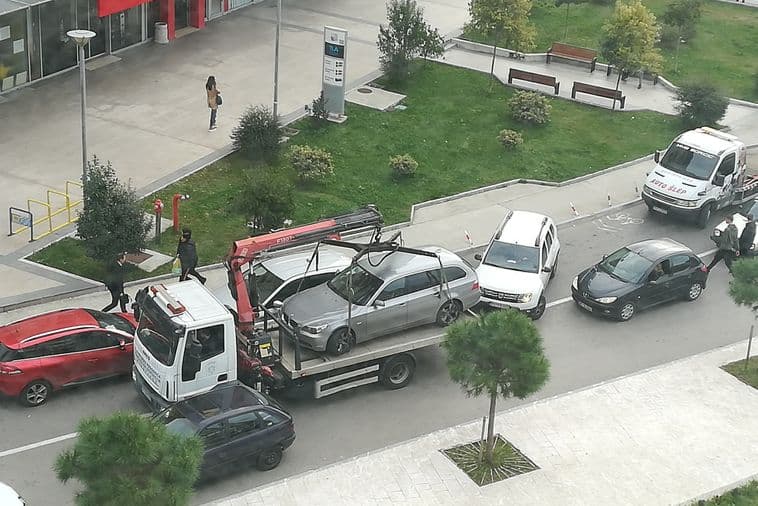 FOTO UBOD: "Pauk" uhvaćen u mrežu Foto: Ana POPOVIĆ