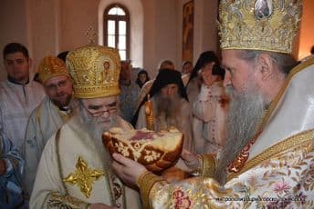 MCP SPC: Vlada pokazala da ne poštuje volju ogromnog broja građana MCP SPC: Vlada pokazala da ne poštuje volju ogromnog broja građana