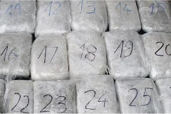 Policija pronašla 1,5 kg marihuane, uhapšen Darko Ćetković iz Nikšića Ilustracija