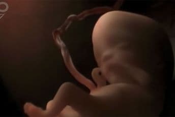 Kako izgleda devet mjeseci trudnoće u samo četiri minute Kako izgleda devet mjeseci trudnoće u samo četiri minute