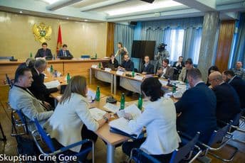 Odgođena rasprava o pomoći Montenegro Airlines-u Ilustracija