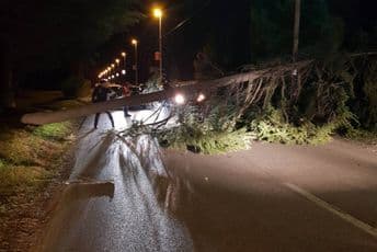 ZETA: Policajci napadnuti pirotehničkim sredstvima, ima povrijeđenih (FOTO) ZETA: Policajci napadnuti pirotehničkim sredstvima, ima povrijeđenih (FOTO)