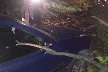 Čitaoci šalju: Balvanima blokirana magistrala kod zetskog Bijelog Polja Čitaoci šalju: Balvanima blokirana magistrala kod zetskog Bijelog Polja