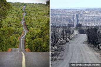 Fotografije prije i poslije: Koliko štete su požari nanijeli Australiji Fotografije prije i poslije: Koliko štete su požari nanijeli Australiji