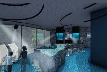 U maju otvaranje prvog javnog akvarijuma u Crnoj Gori U maju otvaranje prvog javnog akvarijuma u Crnoj Gori