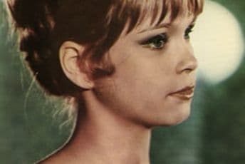 Životna priča Nede Arnerić: Bila je diva i seks simbol jugoslovenske kinematografije Internet