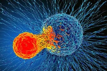 Na pragu velikog otkrića: Prvi korak ka lijeku "za sve vrste kancera“ Na pragu velikog otkrića: Prvi korak ka lijeku "za sve vrste kancera“