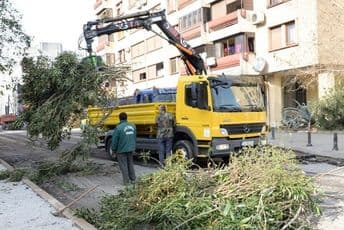 Ulica Oktobarske revolucije dobiće novi zeleni pojas Ulica Oktobarske revolucije dobiće novi zeleni pojas