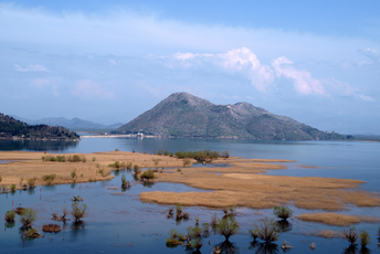 Četiri osobe procesuirane zbog nezakonitog izlova ribe Četiri osobe procesuirane zbog nezakonitog izlova ribe